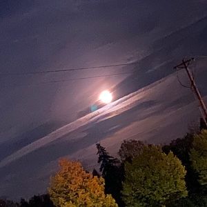 Meet your Posher, Dyana